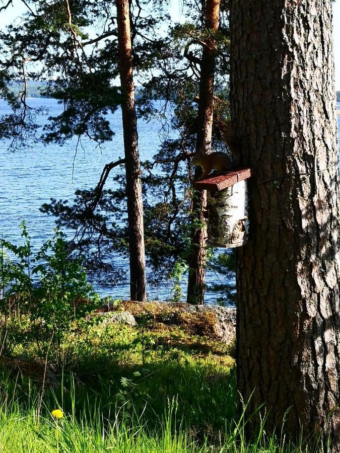 Club House Hotelli Kaipolan Ranta Jämsä Eksteriør billede